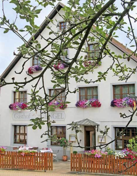 Hotel Restaurant Engel Пфаффенвайлер Экстерьер фото